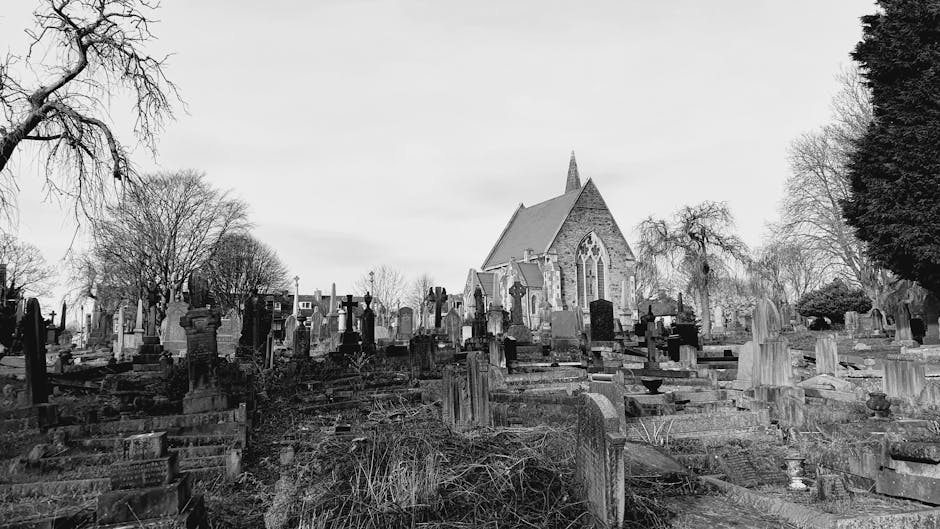 A black and white photograph of West Norwood Cemetery showing an expansive graveyard with numerous weathered tombstones and monuments scattered across uneven ground. In the background, there is a traditional church with a peaked roof, pointed arched windows, and stone walls, partially obscured by leafless trees and larger shrubs on the right side. The foreground features a section of the cemetery with old headstones and burial markers covered in moss and dirt, with some leaning or fallen. The scene conveys a quiet, historical setting with overcast sky and diffuse lighting, typical of a late autumn or winter day. This image captures the quiet atmosphere of a historic burial ground, which Man with Van West Norwood may work around when providing house removals or relocation services near this area, including access and van route planning for safe, efficient furniture transport and packing during home relocation processes.